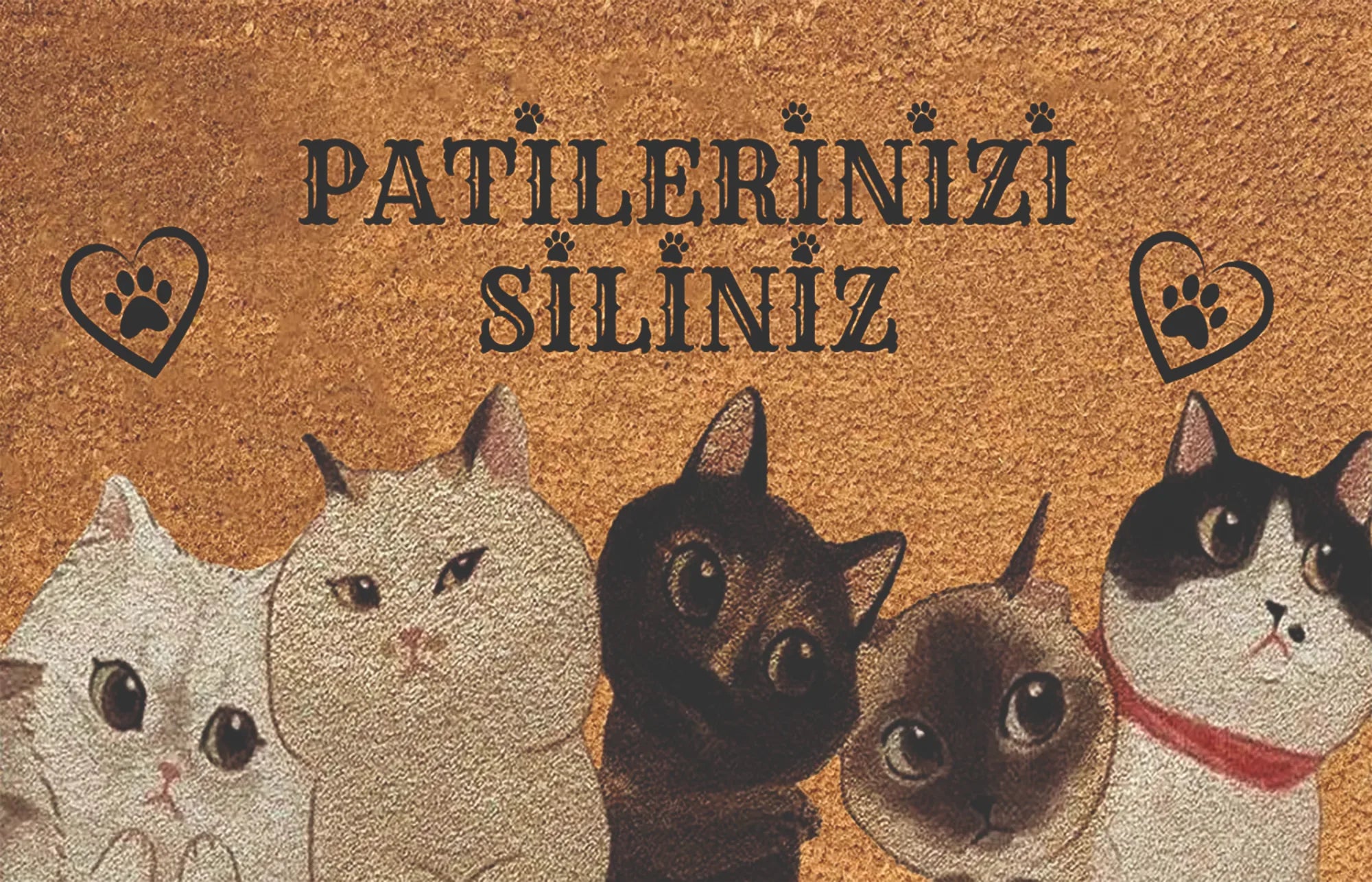 Kapı Önü Paspası
