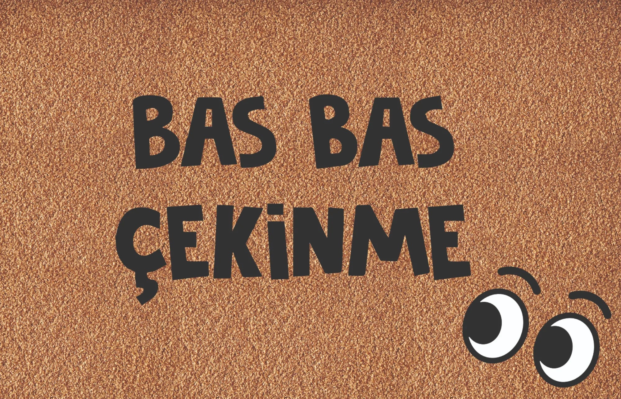 Kapı Önü Paspası